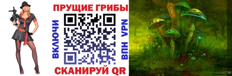 Галлюциногенные грибы ЛСД  Фёдоровский 